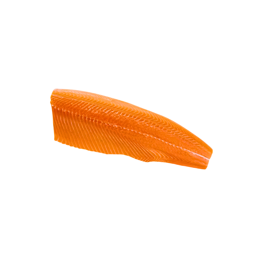 Cá Hồi Fillet Đông Lạnh
