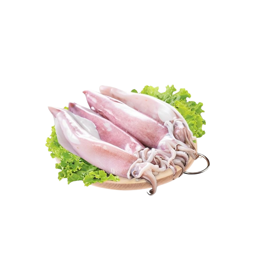 Mực Ống Uruguay Size 200-300g